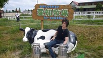 名古屋のホストの遊び方!牛,馬,トラクター 愛知牧場でJapanese animal,Zoo,Pasture