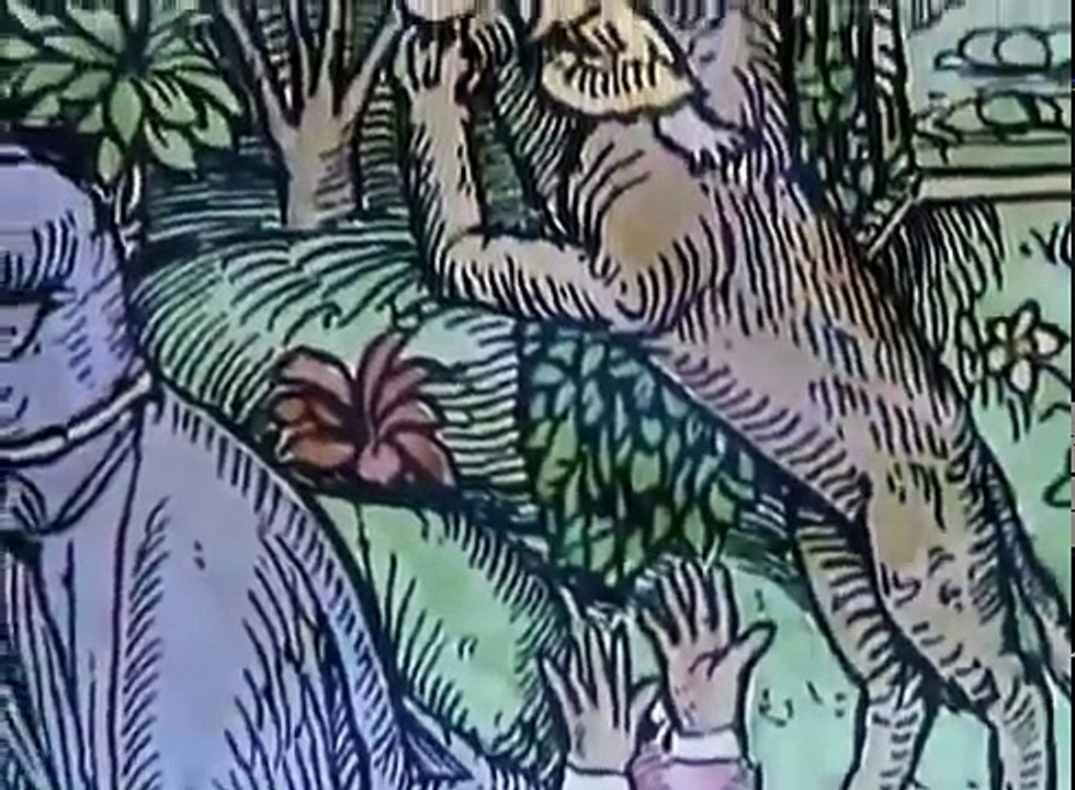 The Truth About Werewolves - Full History Channel Documentary http://BestDramaTv.Net