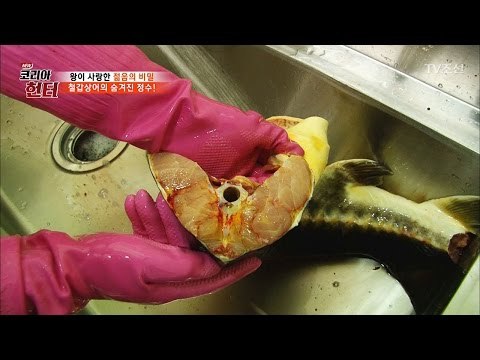 [잔인] 상어 몸에서 골수 빼는 영상 [뉴 코리아 헌터] 40회 20170306