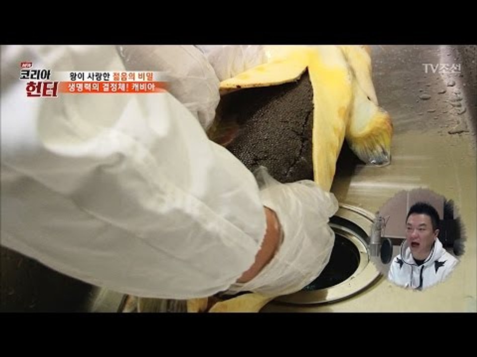 상어의 배를 열었더니, 캐비아가 무더기로! [뉴 코리아 헌터] 40회 20170306