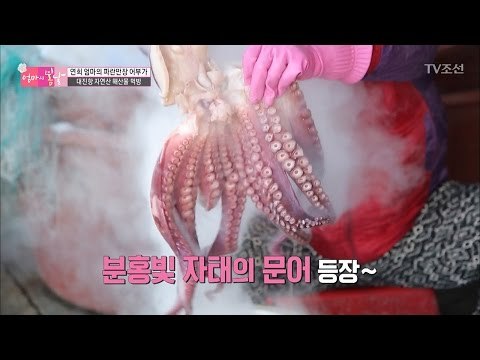 봄날지기를 위한 엄마의 특별한 선물, 자연산 문어숙회! [엄마의 봄날] 79회 20170305