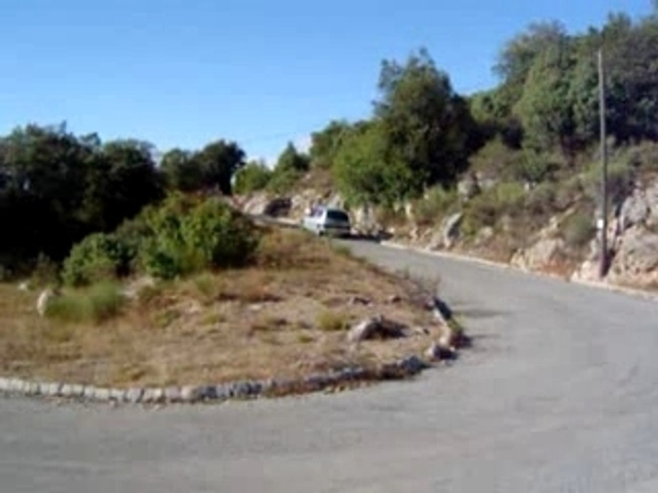 Rally(1)