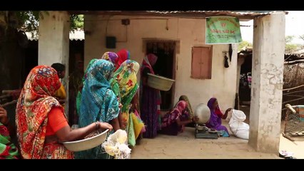 The Neem Projects A Socio-Economic Project