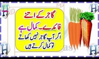 Carrot Benefits In Urdu Urdu Health Tips گاجر کے لاجواب فوائد