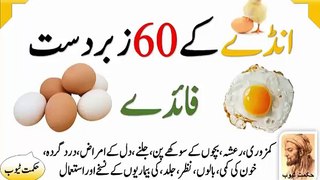 egg benefits egg benefits in urdu hindi egg ke fayde egg ke fawaid egg ke faide ande ke fayde ande