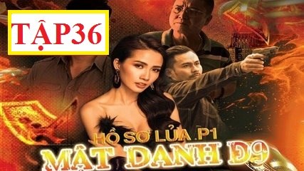 Hồ Sơ Lửa Mật Danh D9 Tập 36