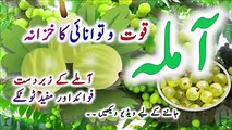 Gooseberry Health Benefits _ Amla Health Benefits And Nutrition Facts _ Healthy Food Tips In Urdu