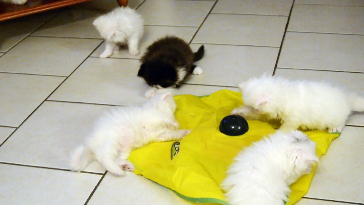 mes bébés 2 mois