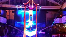 Gorgeous moments of duo aerial silks