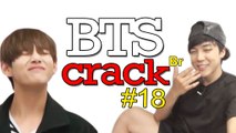 BTS Crack BR #18