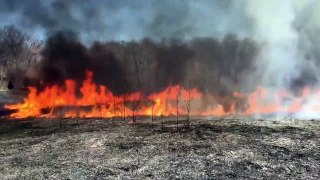 Fire is the biggest danger for forest