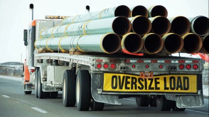 Absolute delivery - (505) 209-9345