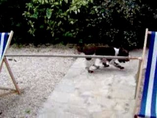 agility !!!!!
