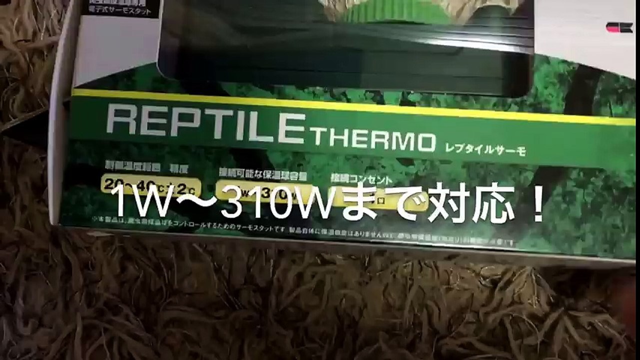 クワガタ温室 ピタリ適温にサーモスタッドを付けて温度管理！