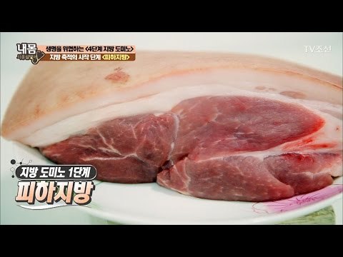 생명 위협의 시작 ‘피하지방’ [내 몸 사용설명서] 144회 20170303