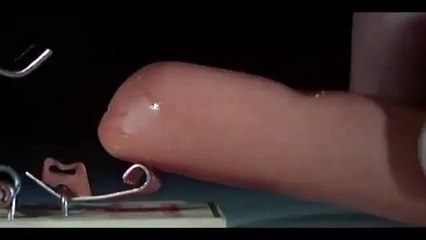 Fare Kapanı Sosisi Nasıl Parçalar