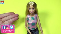 Barbie Stres Çarkı Yapımı - Kendin Yap Barbie Bebek Eşyaları - Oyuncak Yap