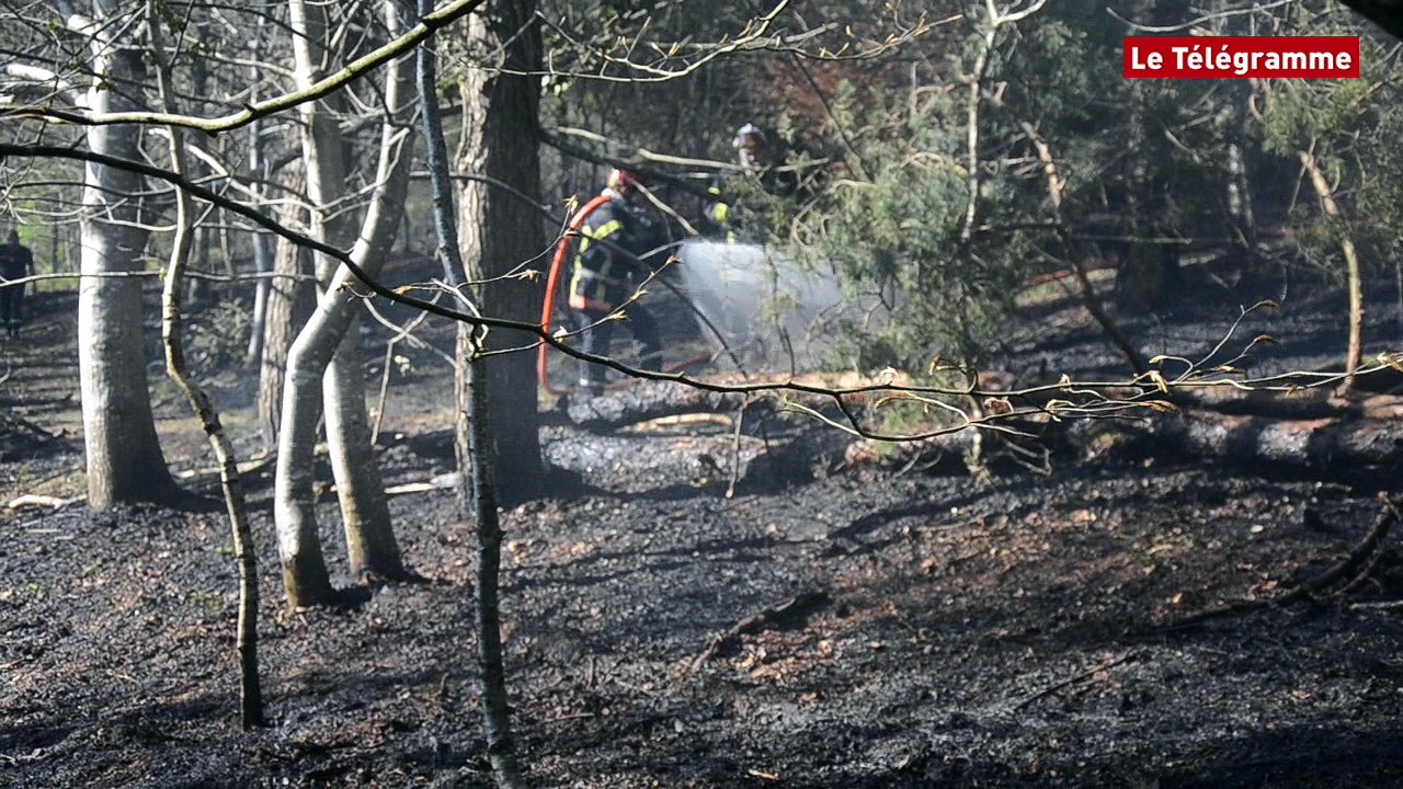 La Roche-Maurice (29). 2.000 m² de végétation partent en fumée