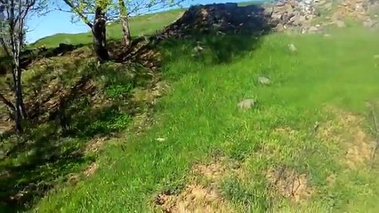 Yürek yakan uzun hava kürtçe müzik sidar beritan xezalamın 2016