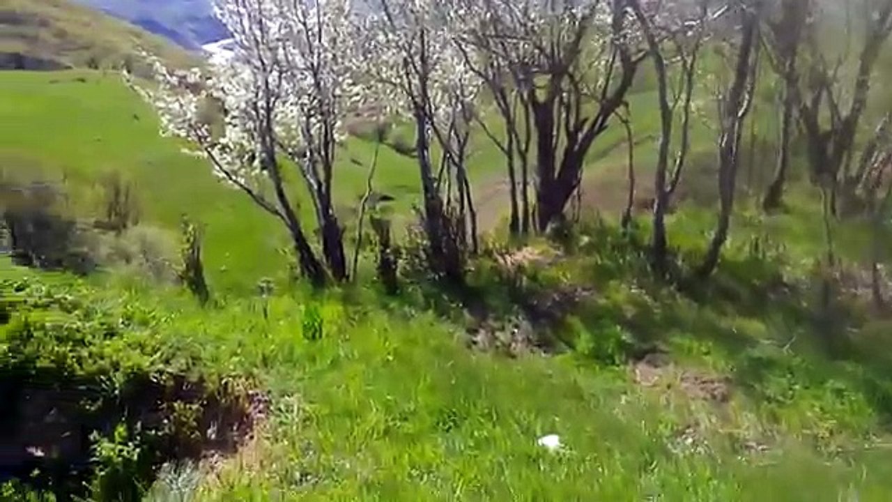 Yürek yakan uzun kürtçe müzik hava dengbej sidar beritan fermane gunde şexane 2016