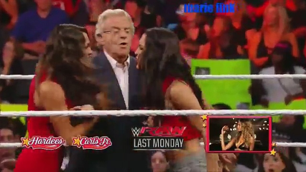 WWE Raw Aj lee & Brie Bella vs Paige & Nikki Bella 9 15 14 (2)