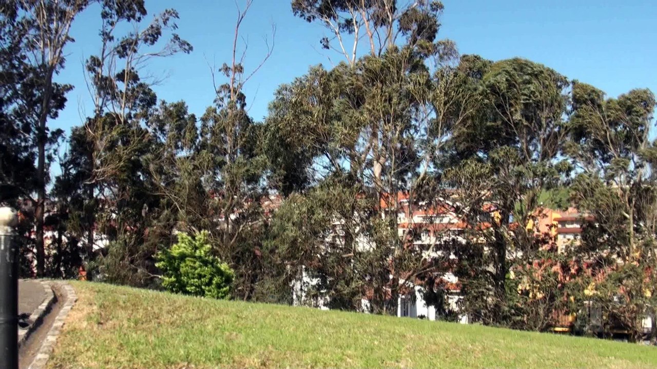 El viento rompe un anclaje de la gran escultura de acero "La Espada de Damocles" de 4,5 m de altura