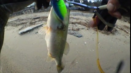 湖西の浜！神様サイン入りリールとダイワマンさんお勧めショットオーバー7で釣る！他力本願釣法！！