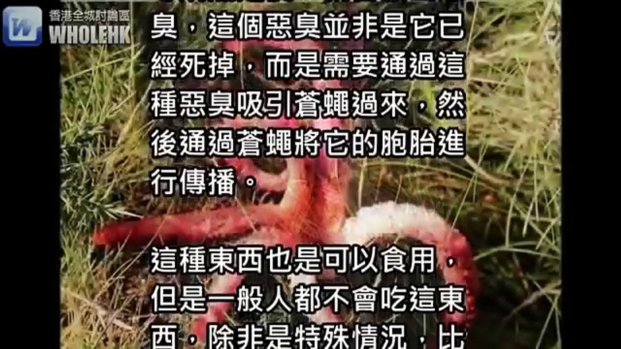 女子在草叢發現「異形蛋」，散發惡臭，沒想到靠近一看她嚇瘋跑走