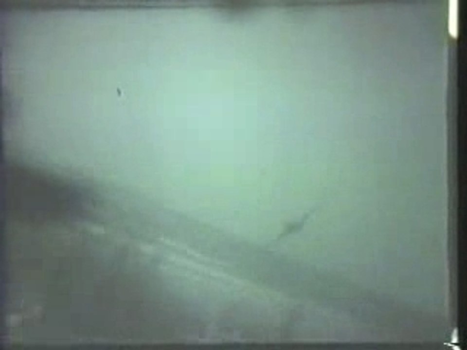 WWII Dogfights