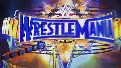 Goldberg vs Brock lesnar full match wrestlemania 33