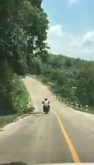 Ce motard évite de justesse la morsure d'un serpent en pleine route !