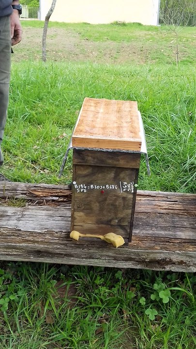 20170415_162521
