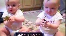 Funny Clip - Baby Dance - Adorable Puppy Attacks Baby - Mom Cat Really Wants Kitten Back