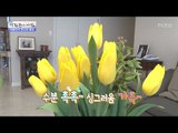 봄맞이, 꽃 오래 보관하는 법! [광화문의 아침] 431회 20170228