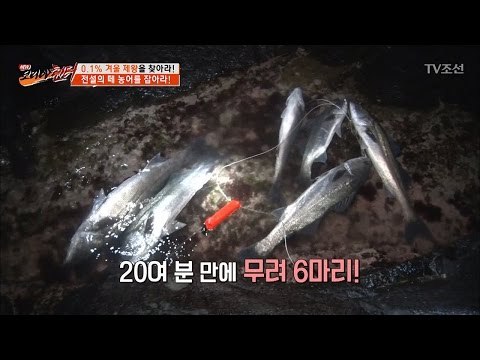 20분 만에 6마리?! 로또만큼 드문 농어 떼를 만나다! [뉴 코리아 헌터] 39회 20170227