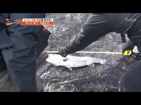 한 마리에 40만원?! 잡으면 대박 나는 대물의 정체는? [뉴 코리아 헌터] 39회 20170227