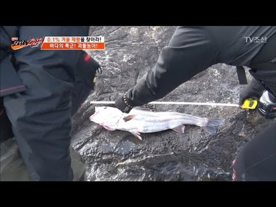 한 마리에 40만원?! 잡으면 대박 나는 대물의 정체는? [뉴 코리아 헌터] 39회...