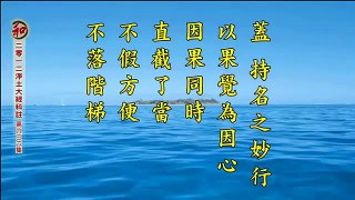 （新）2012淨土大經科註 第636集（有字幕） part 3/3