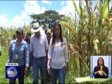 Vicepresidente Glas recorrió hectáreas de cultivos perdidos en la Provincia de Los Ríos