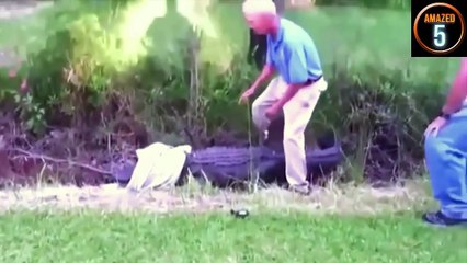 [MP4 720p] 9 Real crocodile attacks on human caught on video 2016