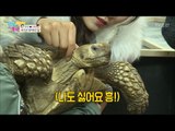 거대한 거북이VS지우, 둘이 친해질 수 있을까? [남남북녀 시즌2] 84회 20170217