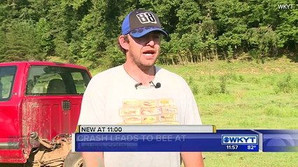 Farmer gives very 'country' account of car crash and bee attack - Daily Mail Online[via torchbrowser.com]