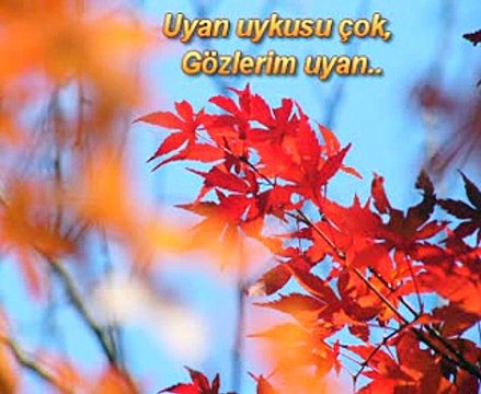 Erkan Mutlu - Uyan ey gözlerim -İLAHİ DİNLE