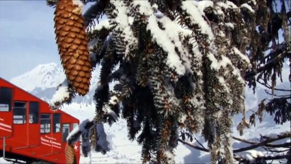 OH CHRISTMAS TREE MUSIC VIDEO, BEST VERSION