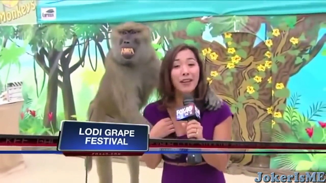 Funny videos : Funniest laughing bloopers ever