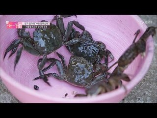 겨울철 최고의 밥도둑! 참게! [엄마의 봄날] 78회 20170226