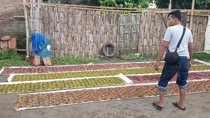 Batik fabric wholesale on production @Batikdlidir