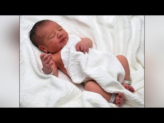 Newborn baby taken away by dog from Madhya Pradesh Hospital