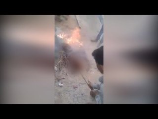Hyderabad boys burn puppies alive, video goes viral | Oneindia News