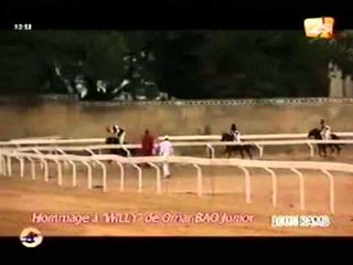 Sangomar   Une Course de Chevaux   28 Juillet 2012   Partie 2